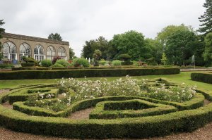 A knot design in the peacock garden
