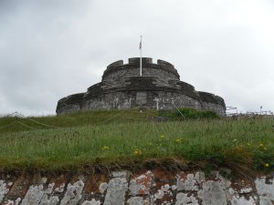 View from below