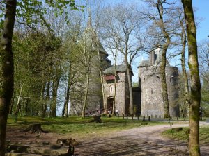 Approach from the wood