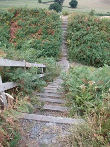 Steps on the ramparts