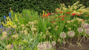 The beautiful flower borders