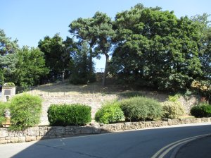The remains of the castle mound