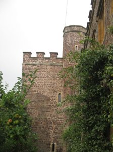 The tower in the orchard