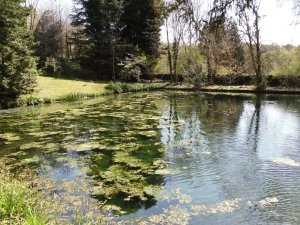 Possibly part of the original moat??