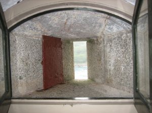 Quirky windows!
