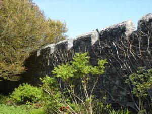 The re-built curtain wall