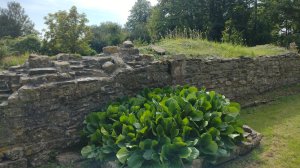 The abbey planted with authentic plants from the medieval era