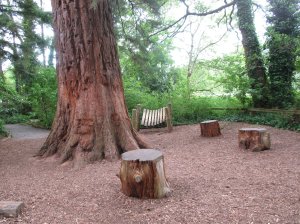 Children's play area