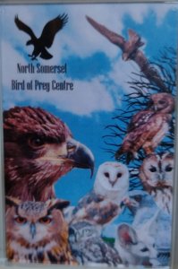 North Somerset Birds of Prey in nearby Congresbury- see website for opening times