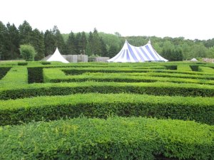 View of the maze