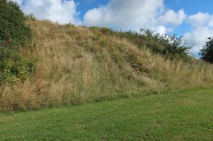 The motte