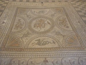 The dolphin mosaic
