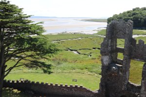 View over the estuary from the tower