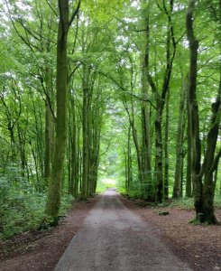 The path up to the castle