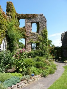 A gardener's delight