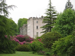 Views through the garden