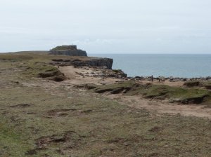 Views from the cliff top