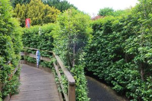 The castle maze
