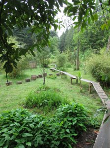 The garden boardwalk