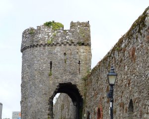 A tower in the walls