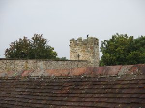 View over the roofs from the tower