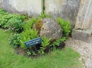 This way to the abbey!