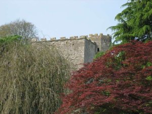 View from the garden
