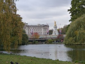 Sightseeing- Buckingham Palace from St James' Park