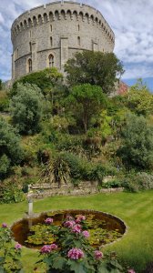 The Round Tower on the motte, surrounded by garden
