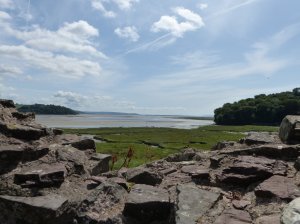 Looking from the castle across the estuary