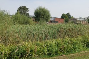 There is a wildlife pond on the site (not the original monstic pond)