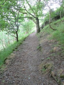 The path up to the castle