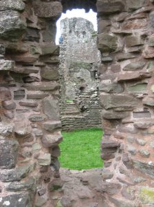 Glimpse through the window