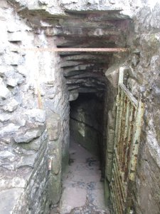 The gateway to the cave