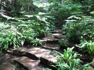 Cascading steps