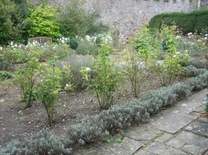 The castle garden