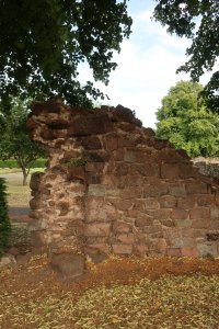 Views of Leicester Abbey Park
