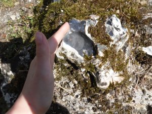 You can touch the stones here!