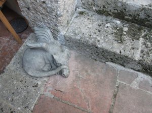 A shy little dragon