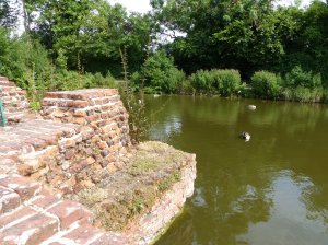 Wildfowl 2
