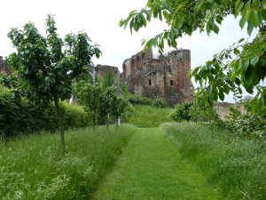 The orchard with the castle in the background