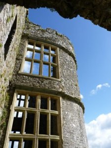 Carew's Elizabethan windows