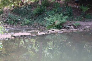Stepping stones across the lake