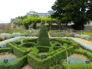 The Tudor House garden