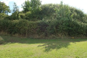 The motte at St Clears Castle- all that remains!