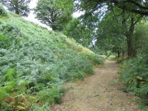 Ramparts of the hill fort